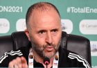 Algérie : Belmadi vide son sac sur Gassama