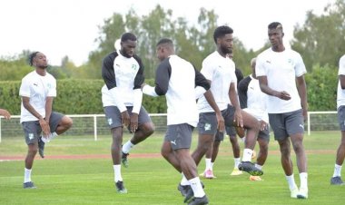 Côte d'Ivoire: L'arrivée des premiers Éléphants en France(vidéos)